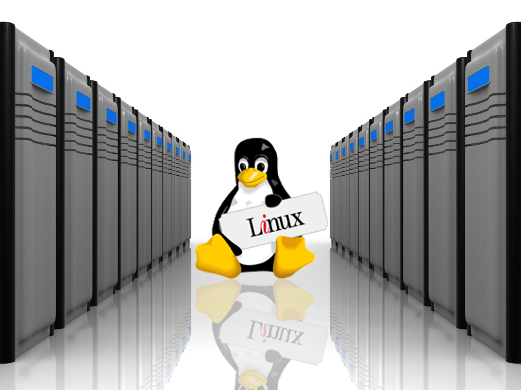 Cấu hình VPS để chạy website nhân Linux