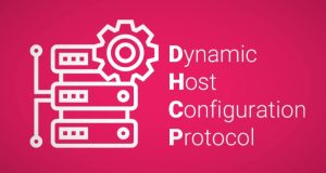 Giao thức DHCP là gì?