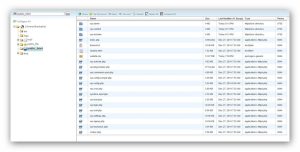 chuyển website từ localhost lên host
