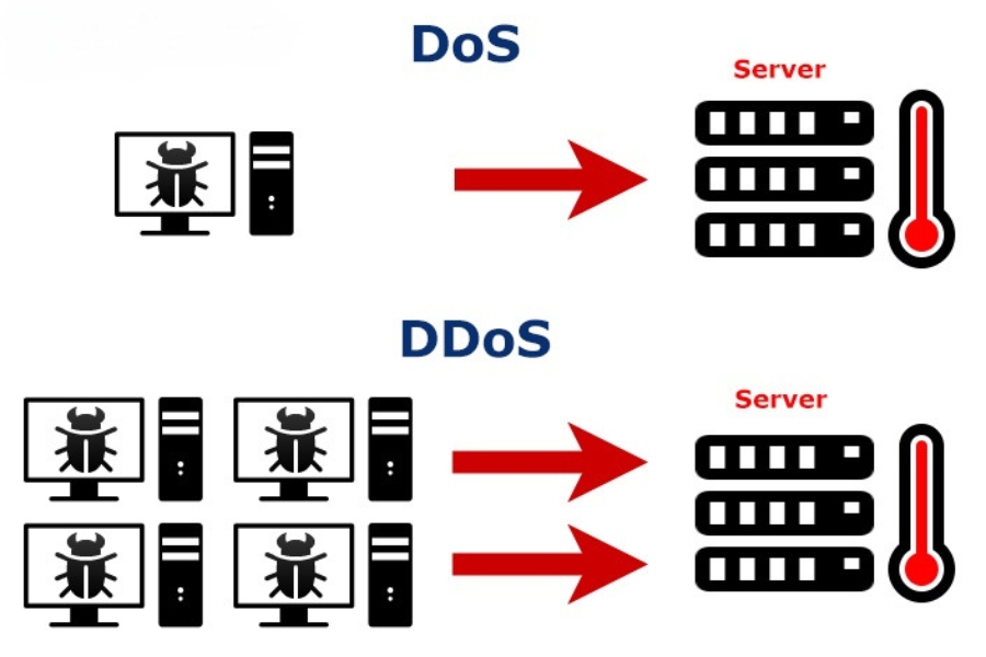 phân biệt tấn công dos và ddos