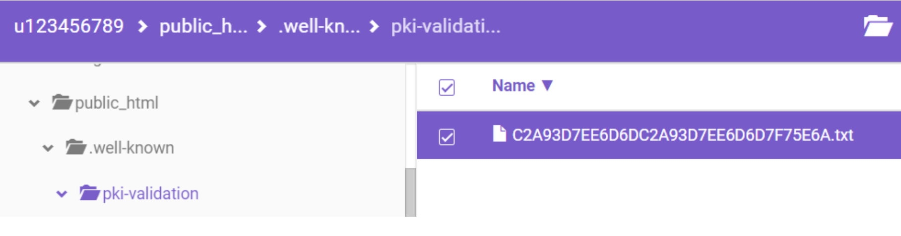 Upload Files thành công