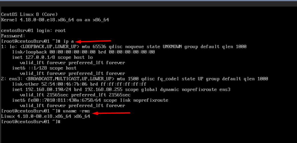 Lệnh kiểm tra IP và kernel