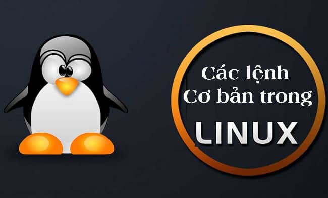50+ Các Lệnh Cơ Bản Trong Linux (Linux Command) Bạn Nên Biết