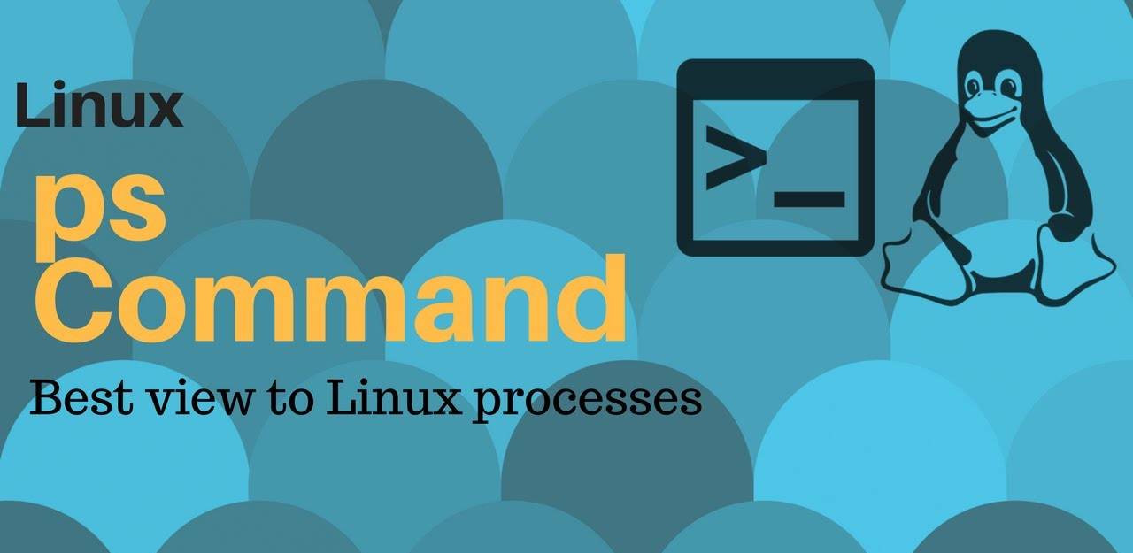 Lệnh ps trong Linux là gì