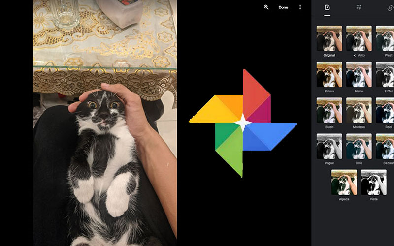 Phần mềm cắt ảnh Google Photos