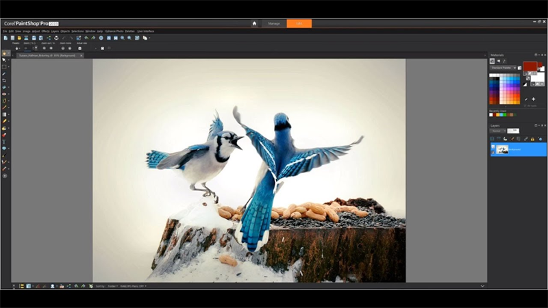 Phần mềm cắt, chỉnh sửa ảnh Corel PaintShop Pro