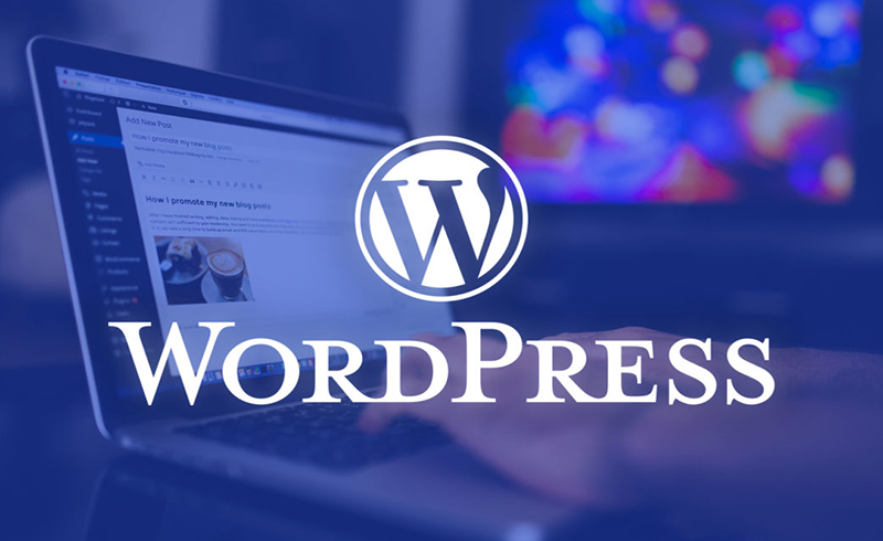 Công cụ WordPress - hỗ trợ viết Content