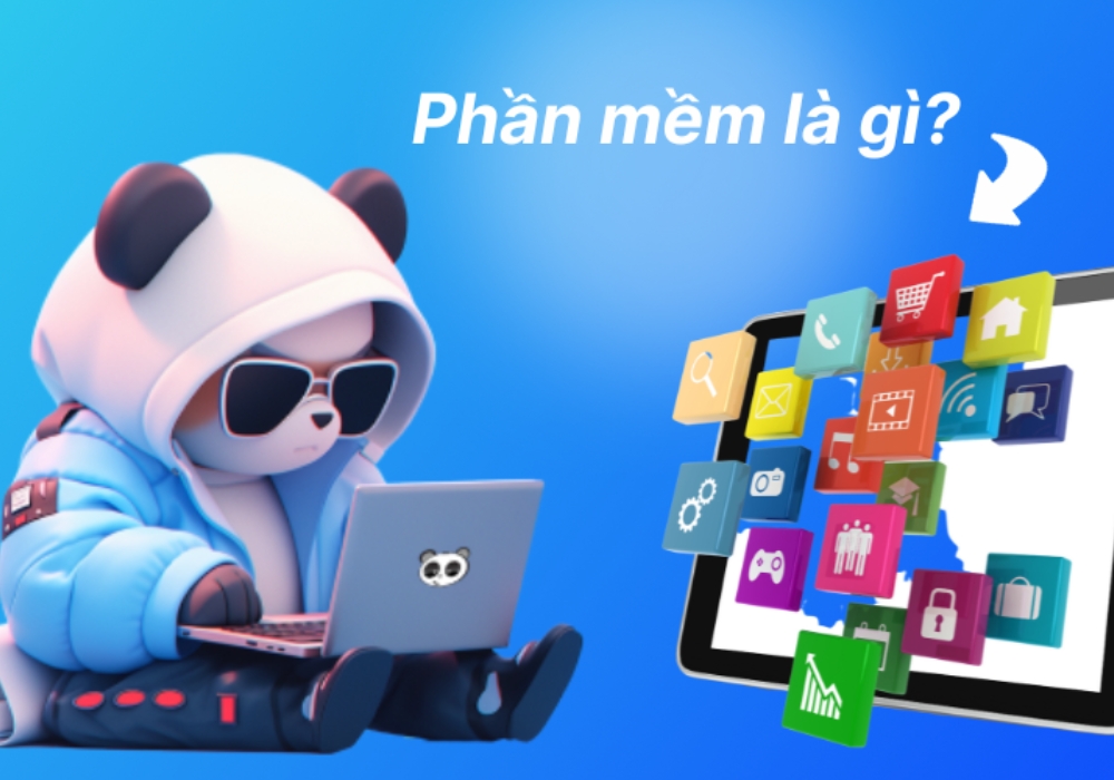 Phần mềm là gì?