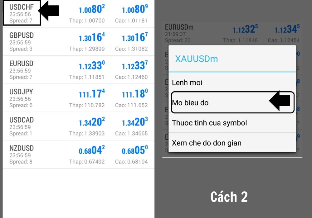Cách hiển thị biển đồ