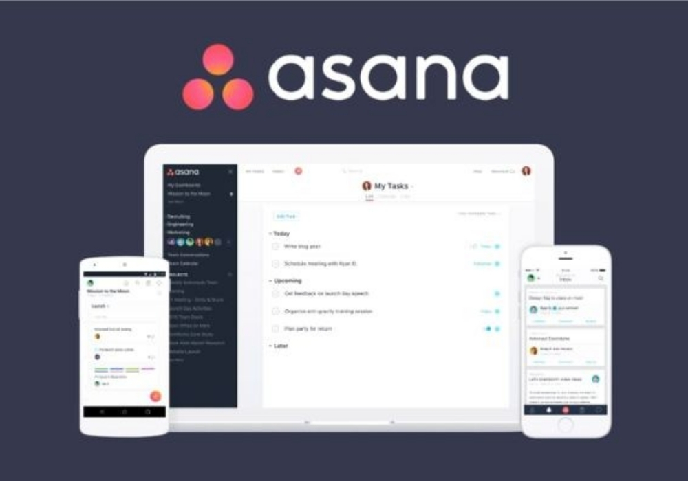 Phần mềm quản lý Asana