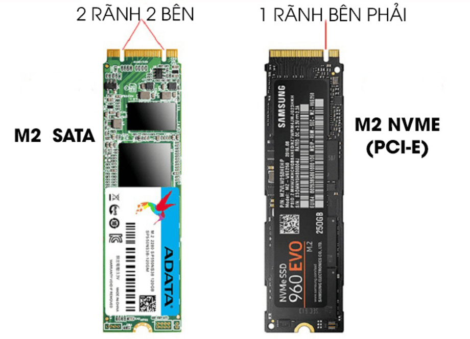 cac-loai-giao-dien-ssd