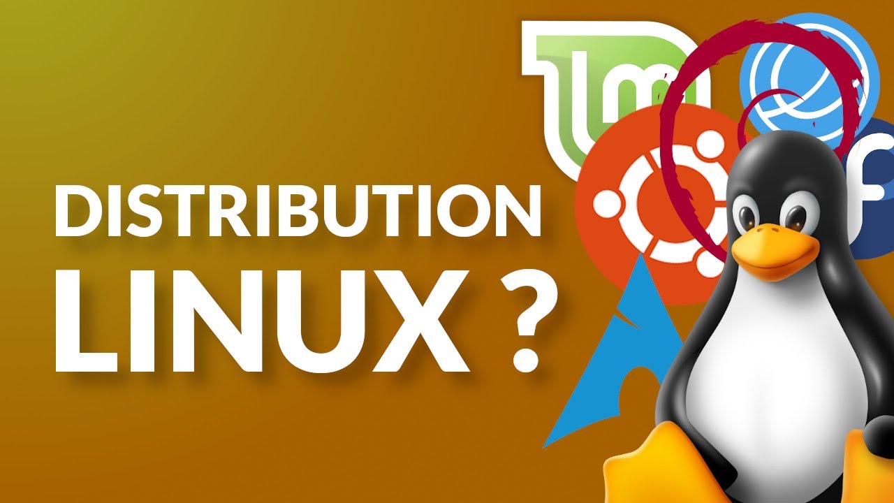 Linux Distribution là gì? Tìm hiểu từ A-Z về các bản phân phối Linux