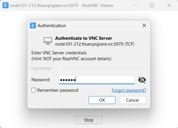 Nhập mật khẩu VNC