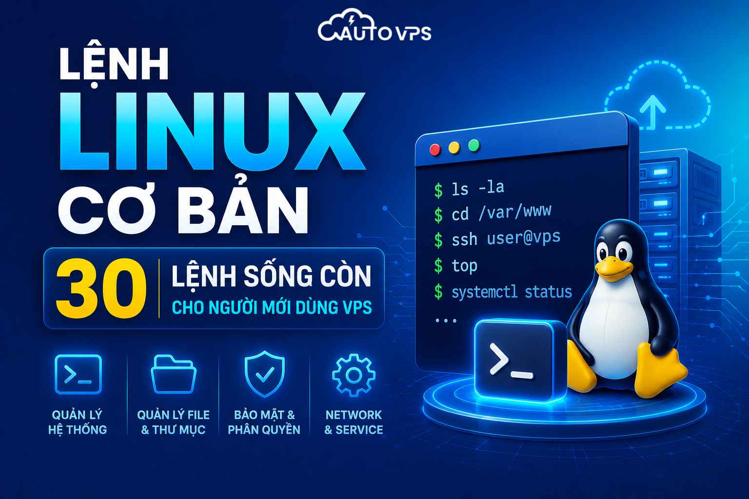 Lệnh Linux Cơ Bản Khi Dùng VPS